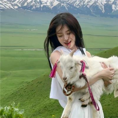 保卫人祖山 海报