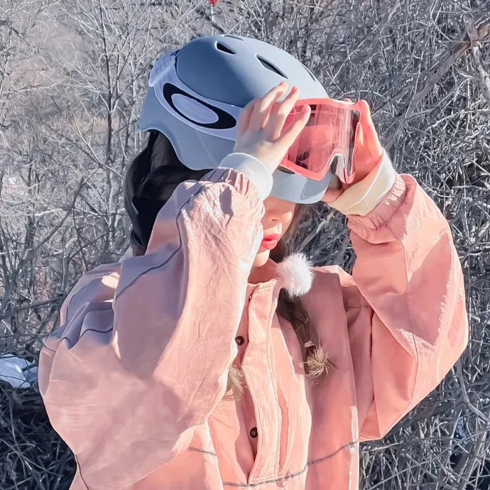 莉莉小姐的超完美日记 海报